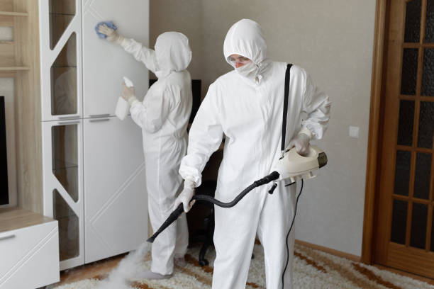 Best Toxic Mold Removal  in Sherman, IL