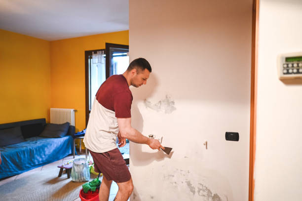Best Mold Remediation  in Sherman, IL